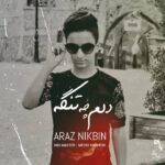 دانلود آهنگ آراز نیک بین دلم چه تنگه